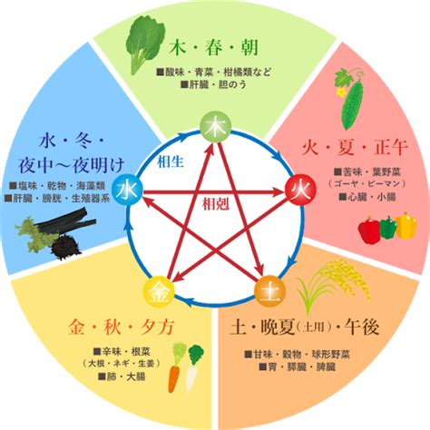 九月五行